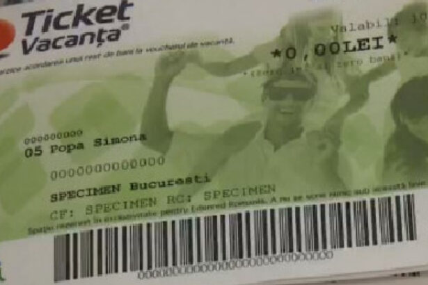 a lua voucherele de vacanta este o crima economica vicepresedintele anat cere reintroducerea lor 67fa68118c123