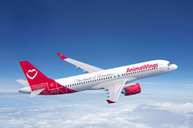 animawings lanseaza doua noi rute din bucuresti 67fe6b7aa8cf4