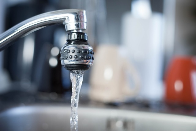 Apa din Breaza, contaminată cu bacteria clostridium perfringens: un pericol pentru locuitori! 1 apa furnizata locuitorilor din orasul breaza infestata cu bacteria clostridium perfrigens 681237db0e245