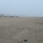 Apele Române: 77 de zone de plajă de pe litoral disponibile pentru închiriere pe o perioadă de 10 ani 2 apele romane 77 subsectoare de plaja de pe litoral sunt scoase la inchiriere pentru 10 ani 67efd29a0738e