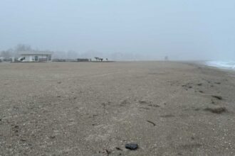 apele romane 77 subsectoare de plaja de pe litoral sunt scoase la inchiriere pentru 10 ani 67efd29a0738e