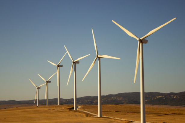 apm constanta raspuns pozitiv pentru firma familei becali unitedpower eolian srl poate infiinta un parc eolian in dobrogea 67f9f64816793