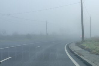 atentie soferi s a emis cod galben de ceata in dobrogea vezi aici localitatile vizate 680732b40fa50