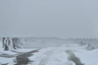 avertizare anm viscol in dobrogea pana vineri seara 67f7605cc20ba