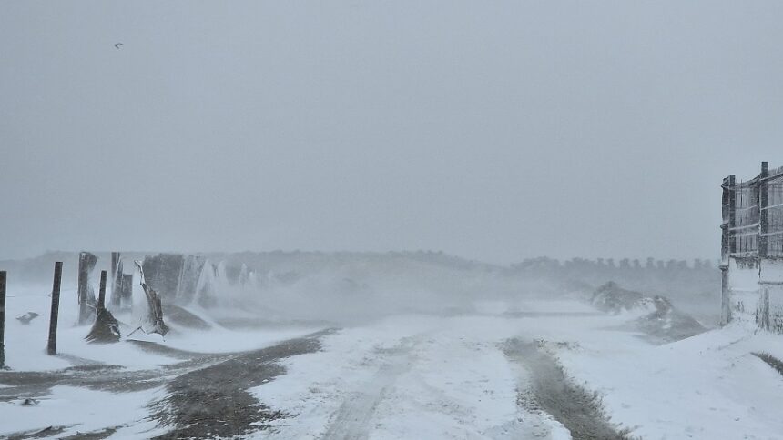 avertizare anm viscol in dobrogea pana vineri seara 67f7605cc20ba