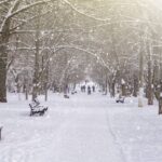 avertizare meteo temperaturile scad abrupt in toata tara ninsori lapovita ploi 67ee764eb3f4f