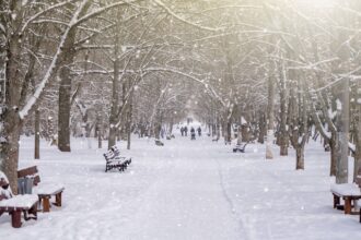 avertizare meteo temperaturile scad abrupt in toata tara ninsori lapovita ploi 67ee764eb3f4f