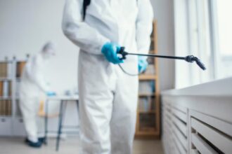 cat costa dezinsectia si deratizarea pentru spatiile directiei generale de asistenta sociala constanta 680789dc672ce