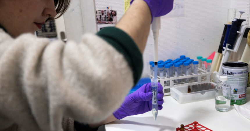 Impactul devastator al cocktailurilor de droguri: Insight-uri de la un expert în toxicomanie 1 cat de grave sunt efectele consumului de cocktailuri de droguri explicatiile unui medic specialist in toxicodepedenta 68033b17967e6