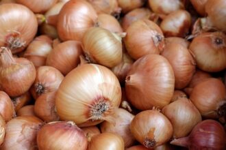 ceapa ucraineana e tot mai prezenta pe piata europeana 6800fc566e54c