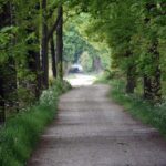 Transformarea Vâlcii: 80 de milioane de euro pentru revitalizarea unui drum esențial! 3 cel mai mare proiect rutier din valcea 80 de milioane de euro pentru modernizarea unui drum strategic 6812105ff03a0