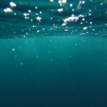 China solicită Americii să onoreze normele internaționale privind strategia de depozitare a metalelor din fundul oceanelor 3 china cere sua sa respecte dreptul international in privinta planului de stocare a metalelor din adancurile oceanice 67ff6e761c746