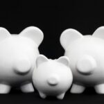 Conpet oferă trei dividende: care este contribuția la bugetul de stat și câți bani încasează fondatorii Dedeman? 3 conpet distribuie 3 dividende cat ajunge la stat si cati bani iau fondatorii dedeman 6810f8a086e90