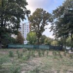 Consilierii locali dau undă verde pentru realizarea unei parcări în apropierea Parcului Tăbăcărie, pe terenul destinat inițial unei clădiri de zece etaje. 3 consilierii locali vor aproba amenajarea unei parcari vizavi de parcul tabacarie pe locul unde urma sa se construiasca un bloc cu zece etaje 680abc9fd1a94