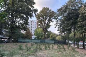 consilierii locali vor aproba amenajarea unei parcari vizavi de parcul tabacarie pe locul unde urma sa se construiasca un bloc cu zece etaje 680abc9fd1a94