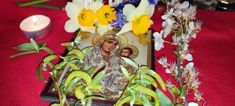 Constanța: Sărbătoare de Florii la Catedrala Arhiepiscopală Sfinții Apostoli Petru și Pavel, cu ramuri de salcie și flori. Descoperă programul zilei! 1 constanta procesiune de florii la catedrala arhiepiscopala sfintii apostoli petru si pavel cu ramuri de salcie si flori vezi aici programul zilei 67faa7a3718dc