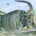 Cum a devenit „crocodilul feroce” un colos devorator de dinozauri. „Discutăm despre o ființă cu adevărat înfricoșătoare” (cercetare) 3 cum a ajuns crocodilul teribil un urias mancator de dinozauri vorbim despre un animal absolut monstruos studiu 680eab6629798