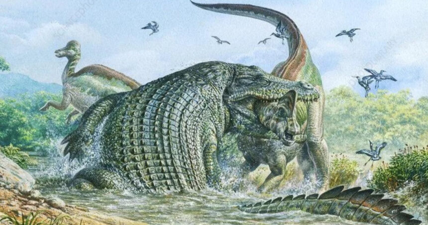 Cum a devenit „crocodilul feroce” un colos devorator de dinozauri. „Discutăm despre o ființă cu adevărat înfricoșătoare” (cercetare) 1 cum a ajuns crocodilul teribil un urias mancator de dinozauri vorbim despre un animal absolut monstruos studiu 680eab6629798
