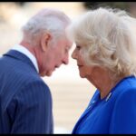 Alegerile surprinzătoare ale Regelui Charles și ale Camilei după două decenii de căsnicie: Întâmplări fascinante din Italia 2 decizia luata de regele charles si camilla la 20 de ani de mariaj ce s a intamplat cu ei in italia 67f6549b280dd