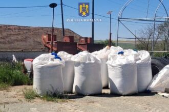 descoperiri socante la o ferma din mircea voda ingrasaminte depozitate ilegal ulei uzat si piei de animale in descompunere 681243629fcac