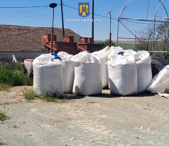 Revelații surprinzătoare la ferma din Mircea Vodă: îngrășăminte stocate ilegal, ulei folosit și pielișcă în putrefacție 1 descoperiri socante la o ferma din mircea voda ingrasaminte depozitate ilegal ulei uzat si piei de animale in descompunere 681243629fcac