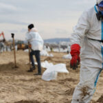 Impactul ecologic devastator al naufragiului celor două petroliere rusești din decembrie afectează grav sezonul turistic pe litoralul Mării Negre 2 dezastrul ecologic cauzat de esuarea celor doua petroliere rusesti in decembrie dau peste cap sezonul turistic de la marea neagra 6802b196c1ec4