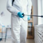 Servicii esențiale de dezinsecție, deratizare și dezinfecție disponibile în Constanța: Criterii pentru cei interesați! 2 directia generala de asistenta sociala constanta achizitioneaza servicii de dezinsectie deratizare si dezinfectie conditii pentru ofertanti 680786710aa9c