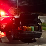 Sentințe definitive în cazul șoferilor care livrau combustibil pentru OMV: justiția a vorbit! 3 dosarul soferilor care transportau combustibil pentru omv a ajuns la final condamnari definitive 67ef04d311d36