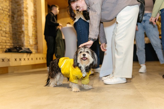 Liderul Ucrainei dezvăluie motivele pentru care România devine o opțiune pentru construirea unei noi unități de producție de furaje pentru animale 1 exclusiv liderul ucrainei la hrana de animale explica de ce ia in calcul romania pentru o noua fabrica 67edc730091d4
