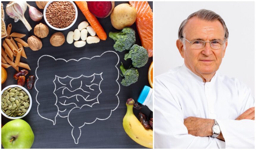 Fibrele: Scutul împotriva cancerului de colon, conform expertizei Dr. Virgiliu Stroescu 1 fibrele protejeaza impotriva cancerului de colon ce spune dr virgiliu stroescu 67ee7ab042bc1