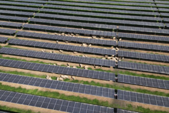 foto a fost finalizat cel mai mare parc fotovoltaic finantat prin pnrr de ministerul energiei 68110829ead37
