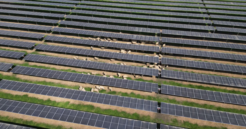 Parcul fotovoltaic de proporții epice, susținut de PNRR, a fost finalizat de Ministerul Energiei! 1 foto a fost finalizat cel mai mare parc fotovoltaic finantat prin pnrr de ministerul energiei 68110829ead37