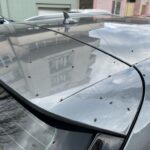Constanța sub asediu: Doctorul veterinar Adrian Bîlbă dezvăluie cauza invaziei de muște 2 foto invazie de muste in constanta iata explicatia doctorului veterinar adrian bilba 67f65b3f16396