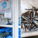 Mizerie, rugină și insecte în magazinele de pește: Amenzi de 1,3 milioane de lei impuse de ANPC 2 foto mazga rugina si gandaci de bucatarie la comerciantii de peste anpc a dat amenzi de 13 milioane de lei 67f9656512c94