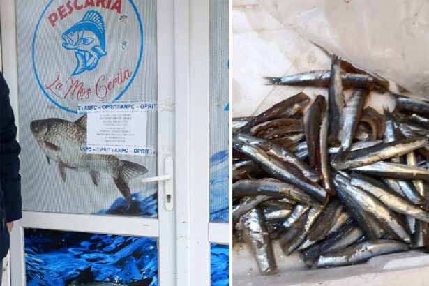 foto mazga rugina si gandaci de bucatarie la comerciantii de peste anpc a dat amenzi de 13 milioane de lei 67f9656512c94