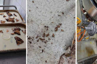 foto rugina mucegai si gandaci la restaurantul sofra din constanta a fost oprita activitatea 67f690b560629