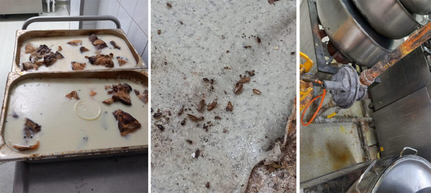 Restaurantul Sofra din Constanța, învăluit în rugină, mucegai și gândaci: Activitatea a fost suspendată! 1 foto rugina mucegai si gandaci la restaurantul sofra din constanta a fost oprita activitatea 67f690b560629