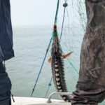 Captură impresionantă: Pescador prins cu două tone de pește braconat în apropierea Mangaliei! 3 foto video pescador cu 2 tone de peste braconat prins langa mangalia 6809f0fb2d14c