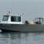 Pescador ilegal, cu motor furat din Suedia, interceptat la braconaj în Marea Neagră, având la bord peste 760 kg de pește. 2 foto video pescador neinregistrat cu motorul furat din suedia prins la braconat in marea neagra peste 760 kg de peste erau la bord 67f3bacd00c02