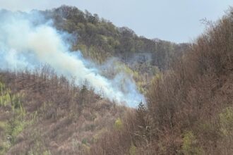 foto video un elicopter black hawk intervine pentru stingerea unui incendiu de padure izbucnit intr o zona greu accesibila 68023a8f9b54e