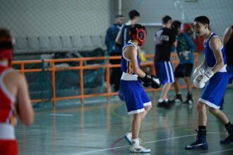 foto viitorul boxului se construieste la medgidia cs medgidia a gazduit un antrenament comun cu participarea cluburilor din judet 680cc278eb651