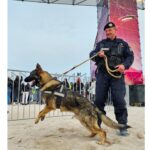 Jandarmeria Română sărbătorește 175 de ani, invitând copiii să pătrundă în lumea sa fascinantă! 2 gruparea mobila isi deschide portile pentru copii cu ocazia implinirii a 175 de ani de la infiintarea jandarmeriei romane 67ec19718e1fe