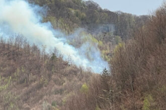 incendiul de padure din arges a fost stins dupa cinci zile in care pompierii s au luptat cu flacarile 6807f1030ebb7