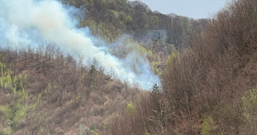 Focul devastator din Argeș a fost stins după o luptă de cinci zile cu flăcările de către pompieri. 1 incendiul de padure din arges a fost stins dupa cinci zile in care pompierii s au luptat cu flacarile 6807f1030ebb7
