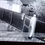 Atac terifiant în Județul Tulcea: Un bărbat și-a înspăimântat vecinii ucigându-le cățelușii 3 incident socant in judetul tulcea un barbat a intrat in curtea vecinilor si le a omorat cateii 68076d58a1a93