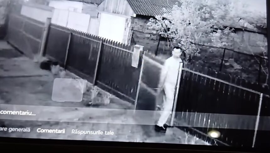 Atac terifiant în Județul Tulcea: Un bărbat și-a înspăimântat vecinii ucigându-le cățelușii 1 incident socant in judetul tulcea un barbat a intrat in curtea vecinilor si le a omorat cateii 68076d58a1a93