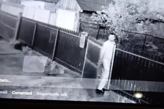 individul din judetul tulcea care a omorat cateii vecinilor a fost arestat la domiciliu pentru 30 de zile 680a683b1afd2