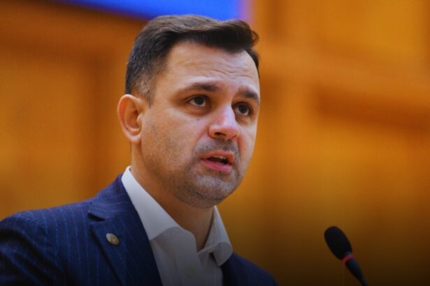 infiintarea centrului european in domeniul securitatii cibernetice aprobata in parlament crusoveanu pnl sunt oportunitati semnificative de dezvoltare in domeniul digital 67ffc020d9cf6