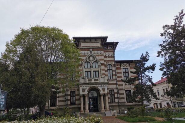 interferente culturale in dobrogea la muzeul de arta populara un dialog despre diversitate initiat de scoala gimnaziala nr 1 din lumina 67ec1876485c4