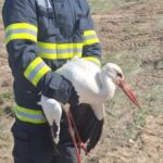 Acțiune neobișnuită a pompierilor din Constanța 2 interventie mai putin obisnuita a pompierilor constanteni 67fa492f4df47